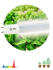Лампа светодиодная для растений ЭРА G13 9W 1200K прозрачная Fito-9W-Ra90-Т8-G13-NL Б0042988 2