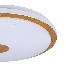 Настенно-потолочный светодиодный светильник Eglo Lanciano 1 900599 1