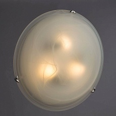 Потолочный светильник Arte Lamp Luna A3450PL-3CC 2
