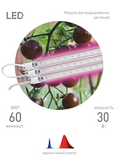 Модульный светодиодный светильник для растений ЭРА Fito-3х10W-Line-RB90 Б0050924 1