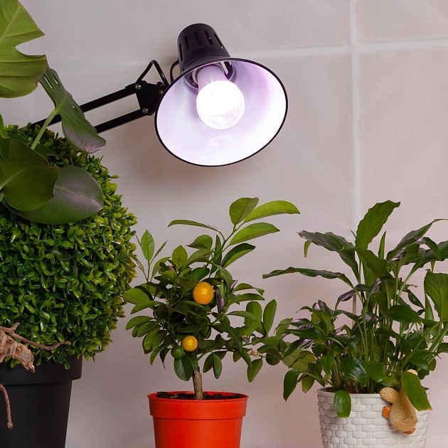 Лампа светодиодная для растений ЭРА E27 11W 2150K прозрачная FITO-11W-Ra90-E27 Б0039172 фото 2