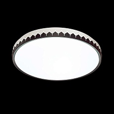 Настенно-потолочный светодиодный светильник Sonex Pale Dorta 3053/DL 2