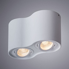 Потолочный светильник Arte Lamp Falcon A5645PL-2WH 1