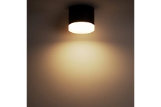 Накладной потолочный светильник Ritter Arton 59947 0 1