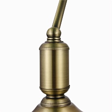 Настольная лампа Maytoni Kiwi Z153-TL-01-BS 5