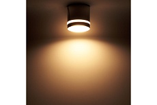 Накладной потолочный светильник Ritter Arton 59944 9 1