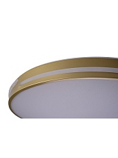 Потолочный светодиодный светильник Zortes Gabby ZRS.90610.50 5