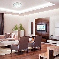 Настенно-потолочный светодиодный светильник Sonex Pale Floors 2041/DL 1