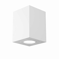 Потолочный светильник Maytoni Alfa C017CL-01W
