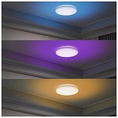 Потолочный светодиодный светильник Yeelight Ceiling Light C2001C450 -450mm YLXD036 2
