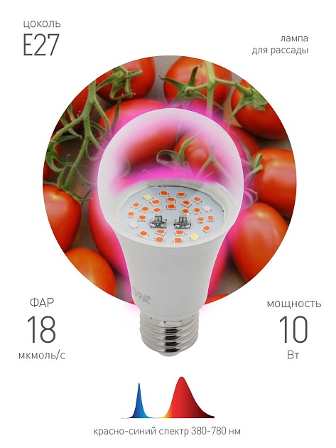 Лампа светодиодная для растений ЭРА E27 10W 1310K прозрачная Fito-10W-RB-E27 Б0050600 фото 2
