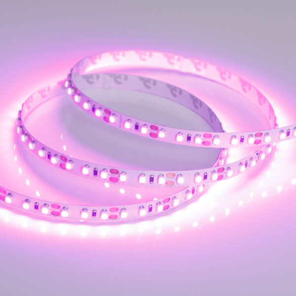 

Светодиодная лента Arlight 9,6W/m 120LED/m 2835SMD розовый 5M 015897(2), Белый, 015897(2) RT открытая