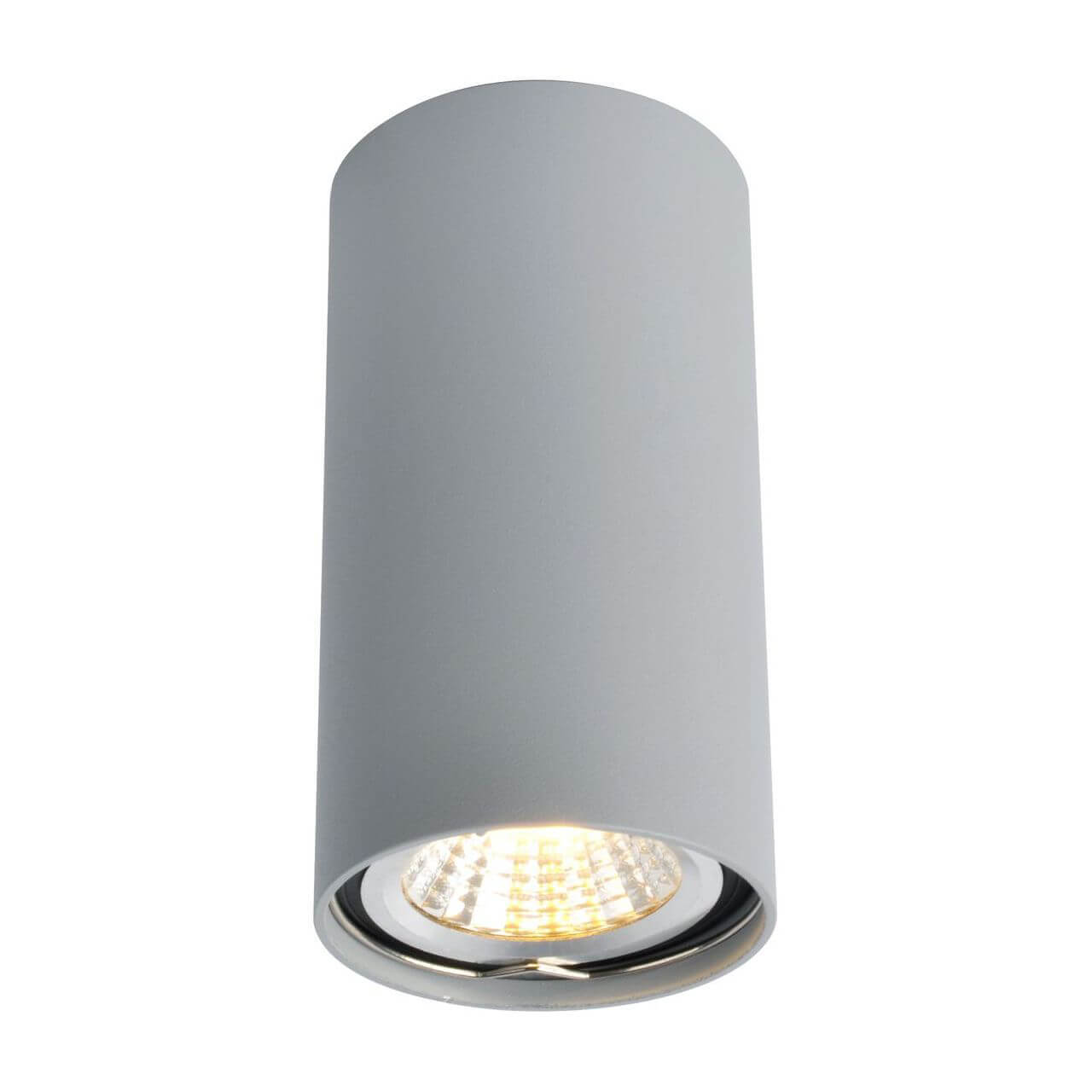

Потолочный светильник Arte Lamp A1516PL-1GY, Серый, A1516PL-1GY 1516