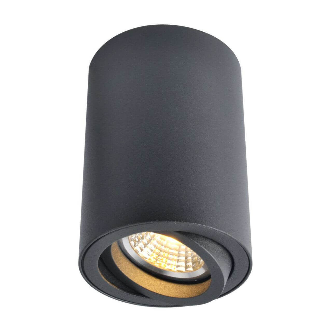 

Потолочный светильник Arte Lamp A1560PL-1BK, Черный, A1560PL-1BK 1560
