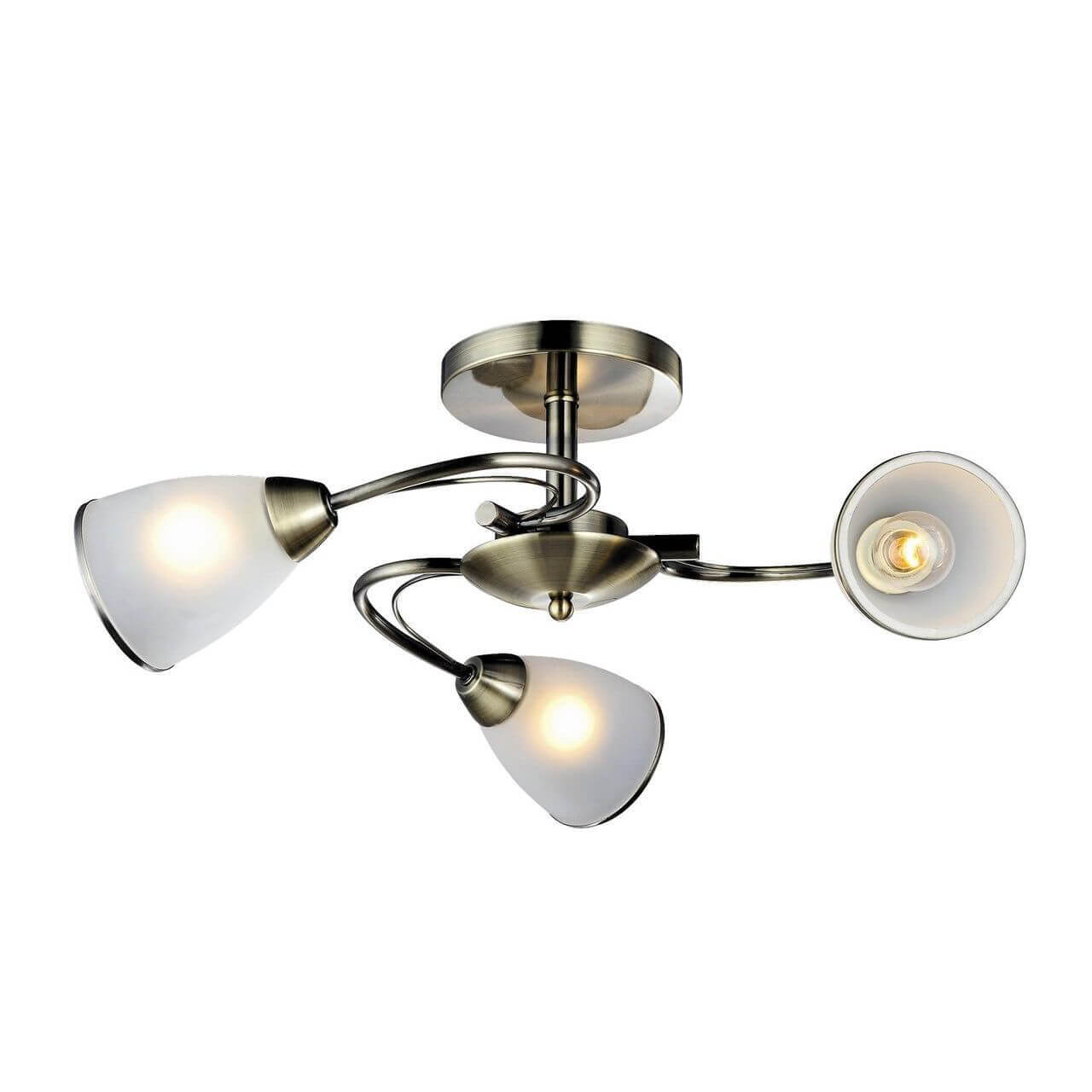 фото Люстра arte lamp