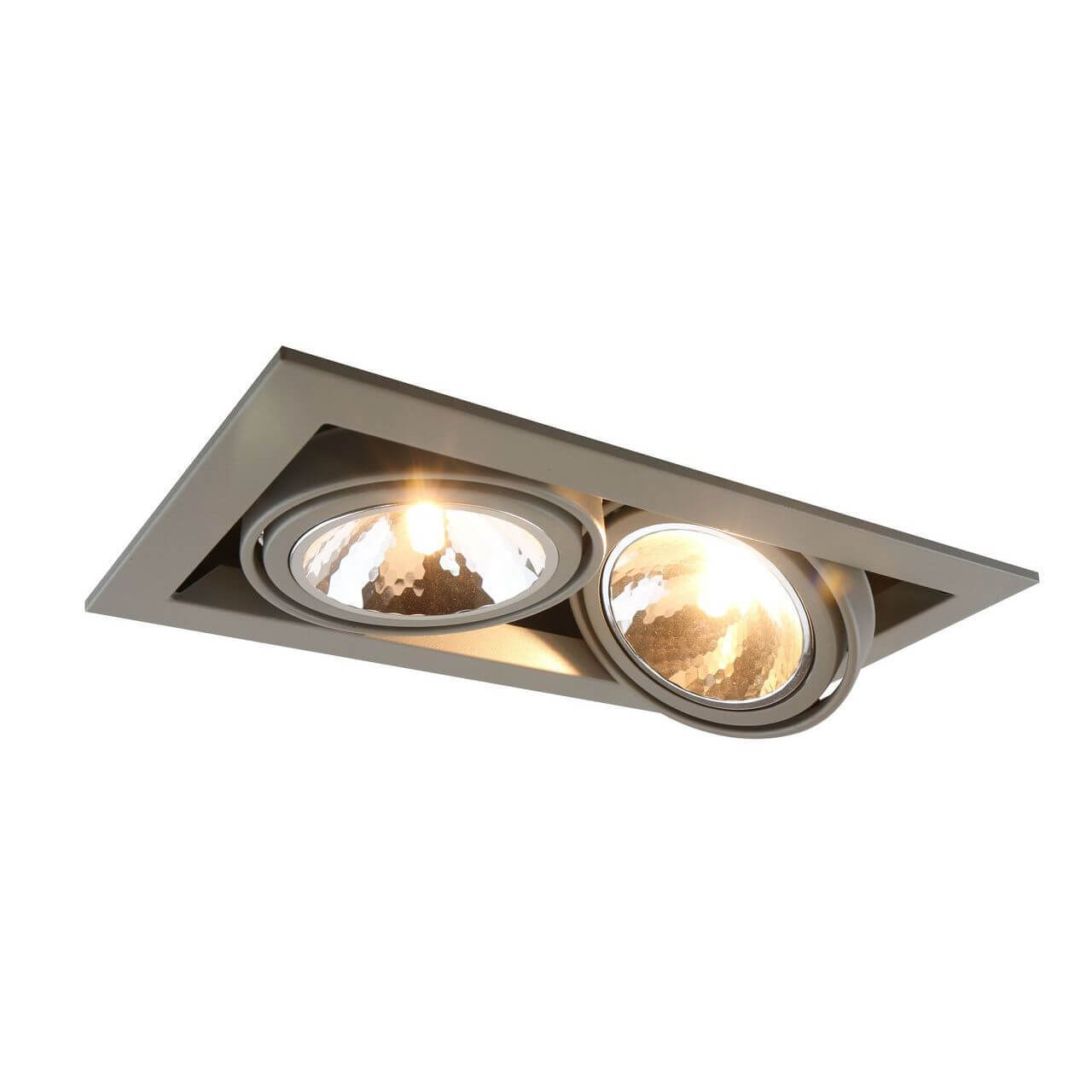 

Встраиваемый светильник Arte Lamp Cardani Semplice A5949PL-2GY, Серый, A5949PL-2GY Cardani Semplice GY