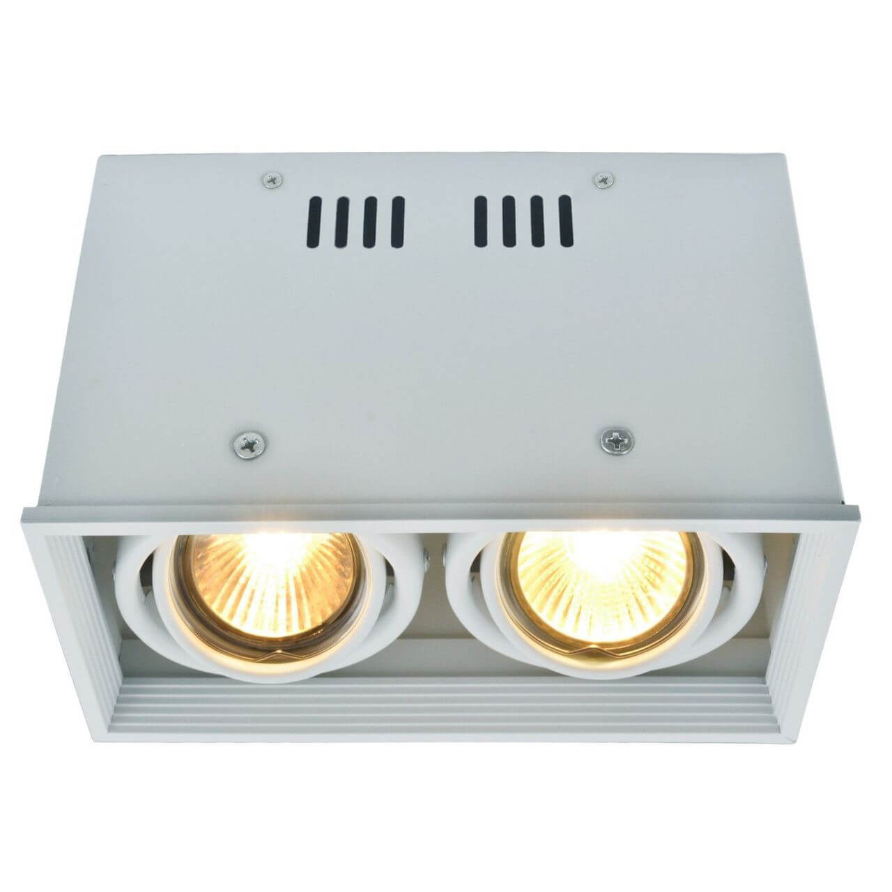

Потолочный светильник Arte Lamp Cardani A5942PL-2WH