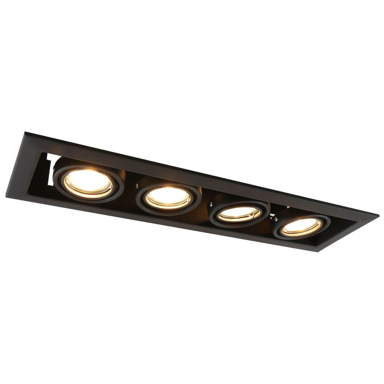 

Светильник Arte Lamp, Черный, A5941PL-4BK Cardani Piccolo BK