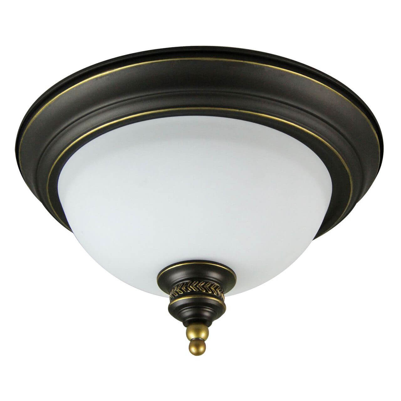 

Потолочный светильник Arte Lamp Bonito A9518PL-2BA