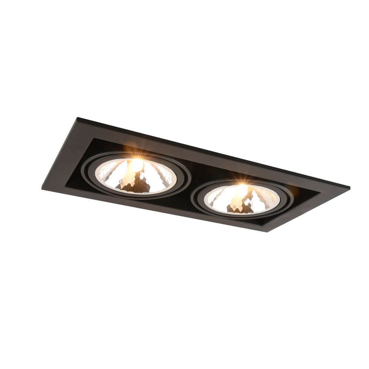 

Встраиваемый светильник Arte Lamp Cardani Semplice A5949PL-2BK, Черный, A5949PL-2BK Cardani Semplice BK