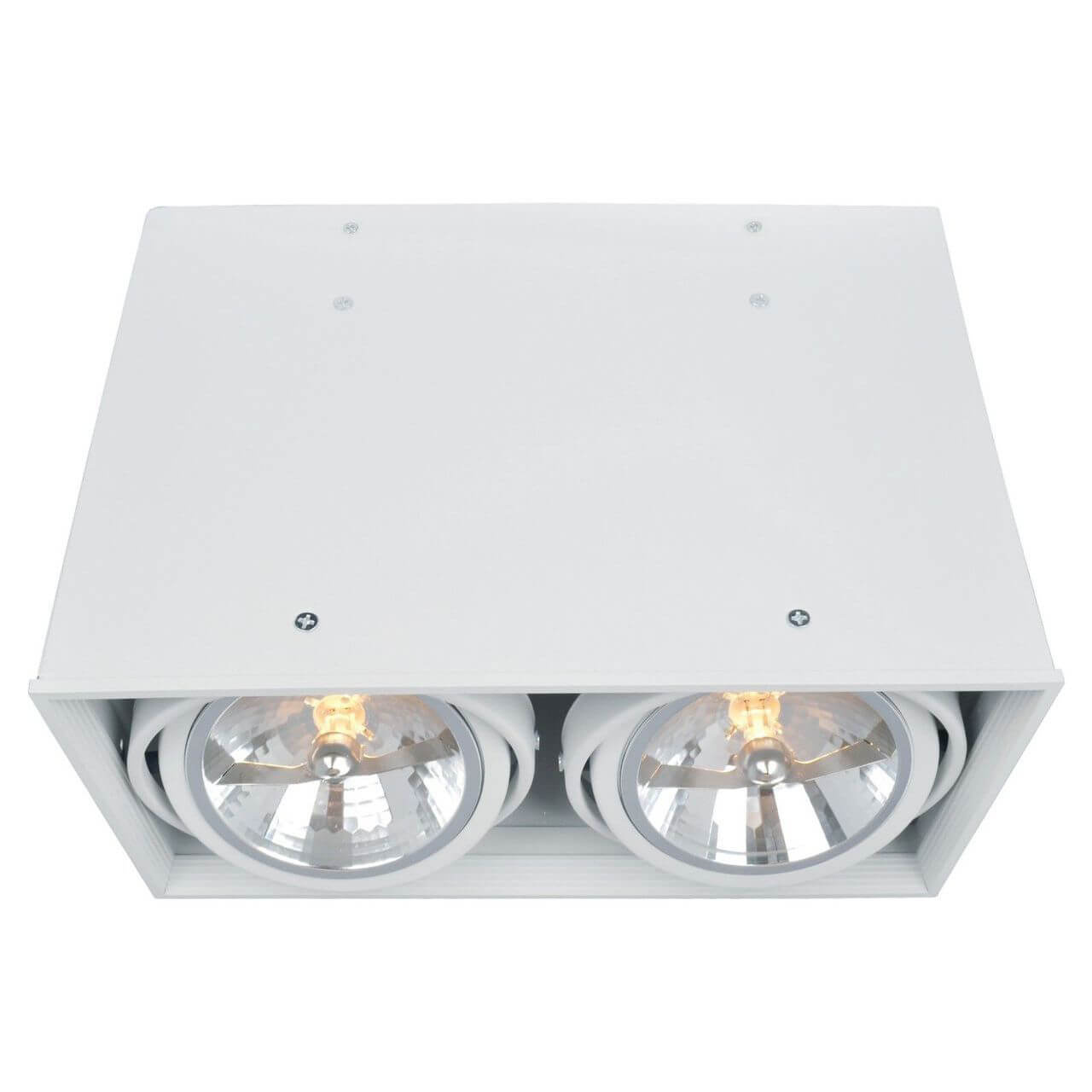 

Потолочный светильник Arte Lamp Cardani A5936PL-2WH, Белый, A5936PL-2WH Cardani White