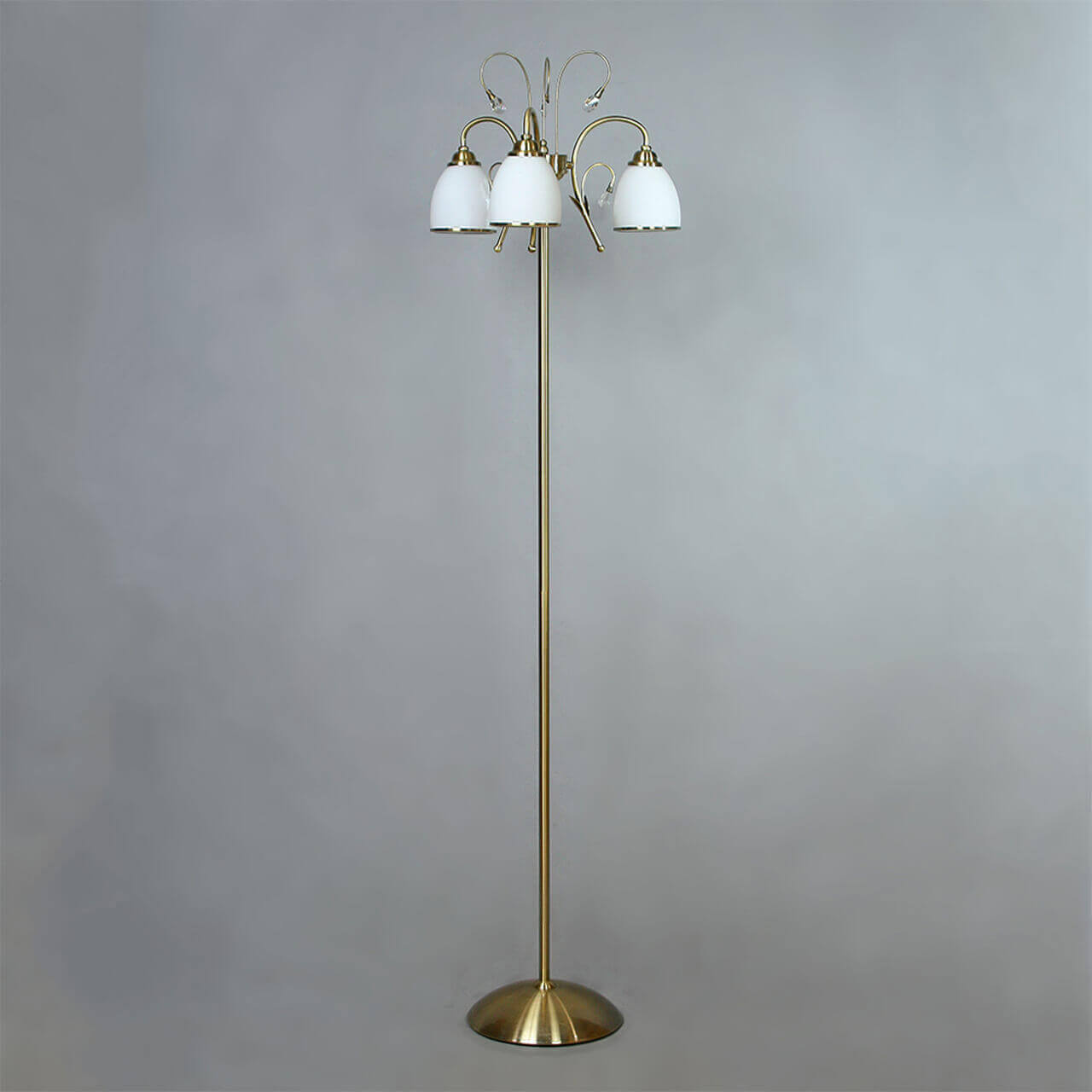 

Торшер Brizzi Tarragona MA02640F/003 Bronze