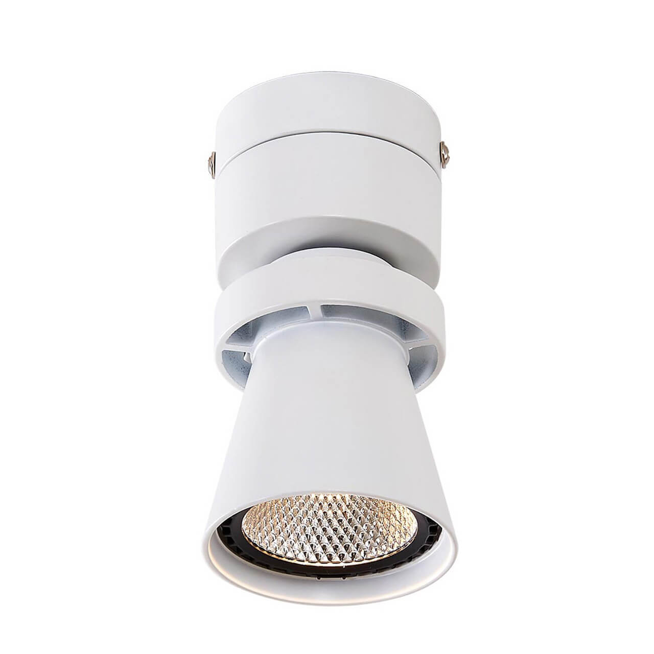 

Светильник Citilux, Белый, CL556510 Дубль-1