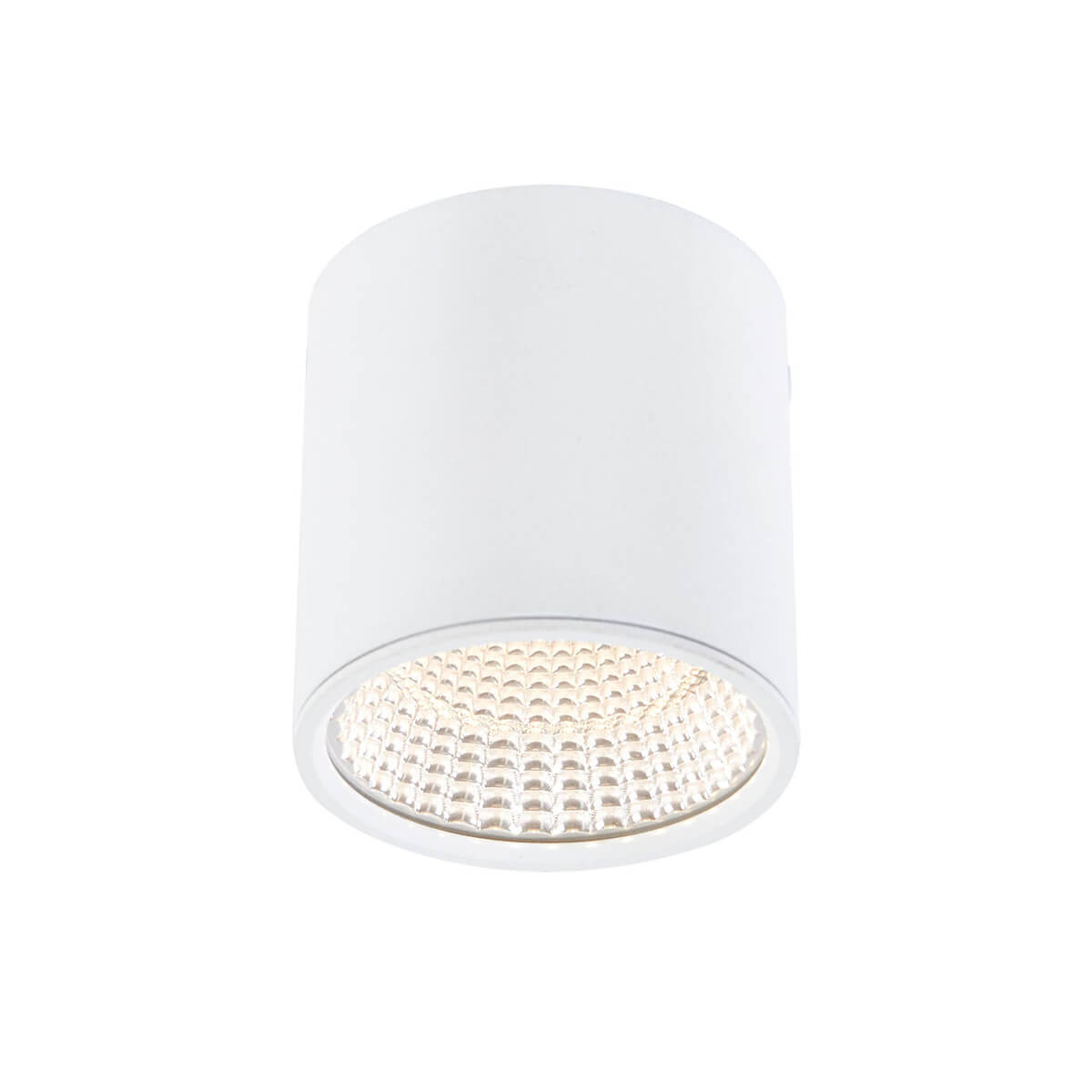 

Светильник Citilux, Белый, CL558070 Стамп