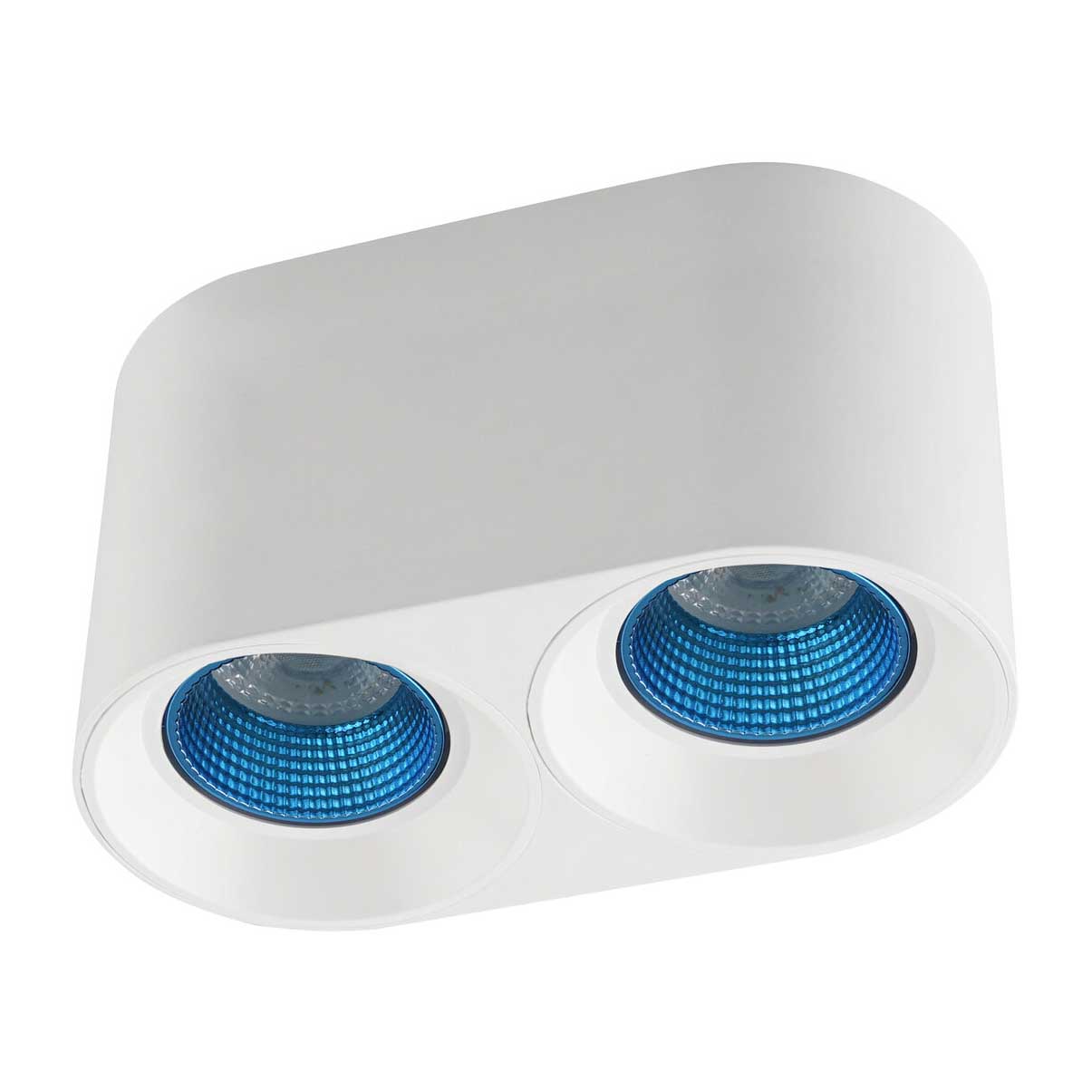 

Потолочный светильник Denkirs DK3020WСY DK3096-WH+CY, Белый, DK3096-WH+CY DK3020WСY