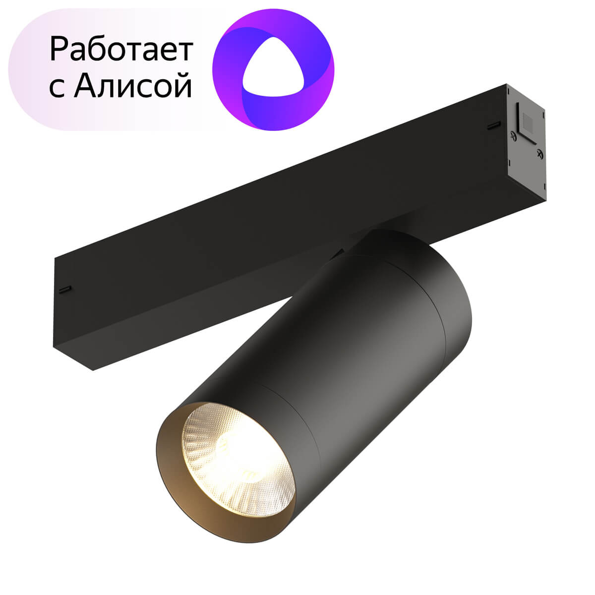 

Трековый светильник Denkirs Smart DK8020-BK, Черный, DK8020-BK Smart