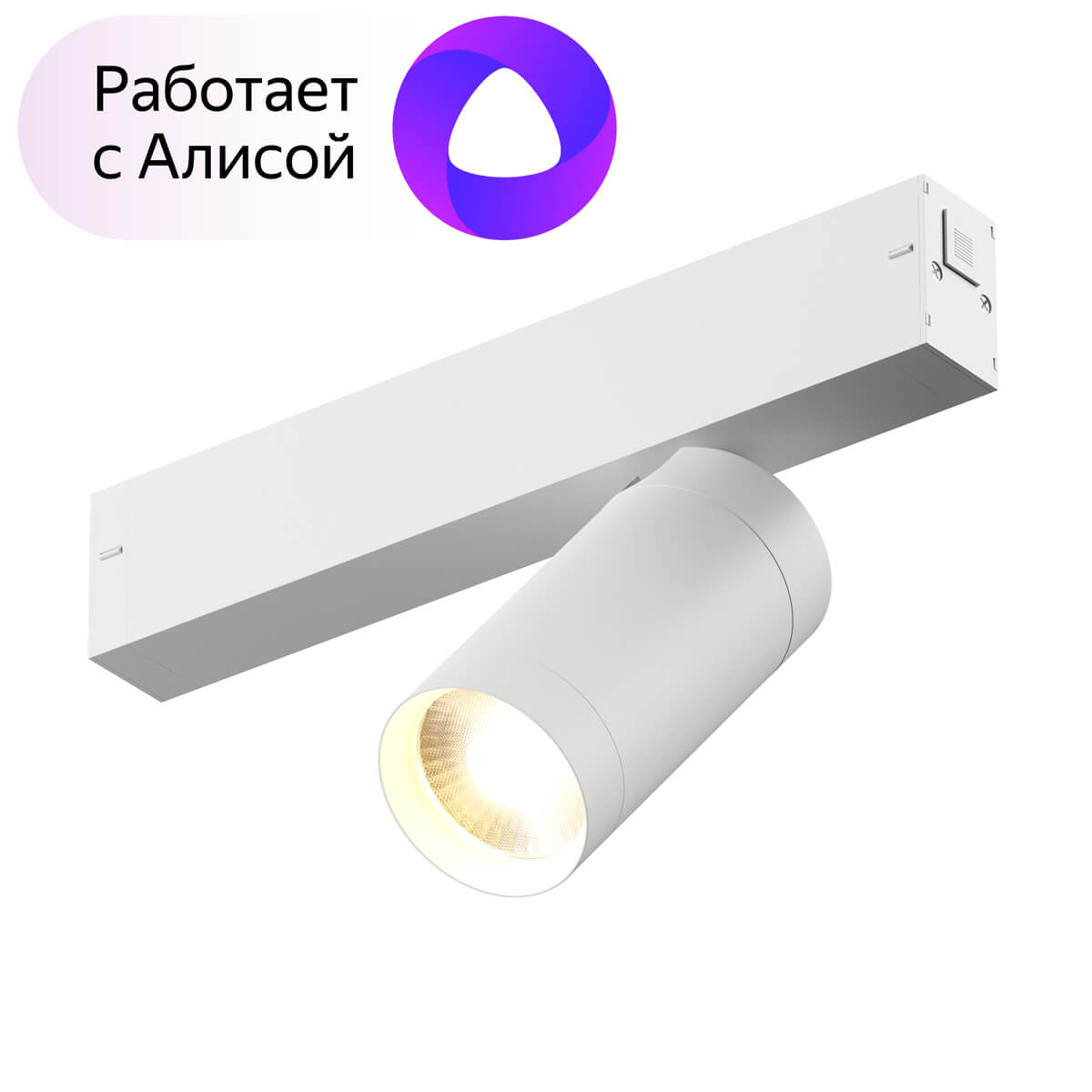 

Трековый светильник Denkirs Smart DK8010-WH, Белый, DK8010-WH Smart
