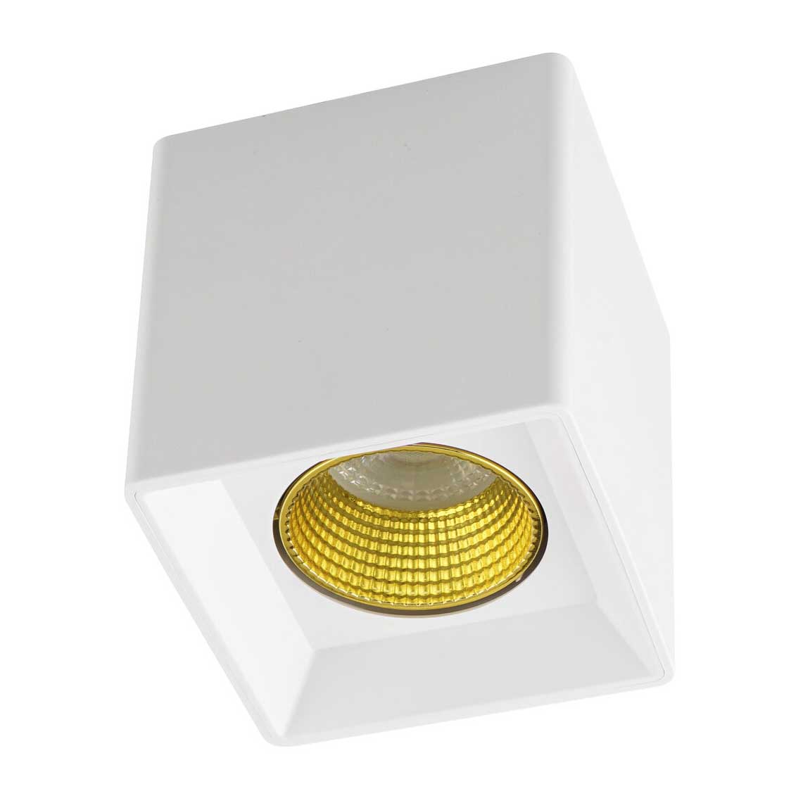 

Потолочный светильник Denkirs DK3020WYE DK3080-WH+YE, Белый, DK3080-WH+YE DK3020WYE