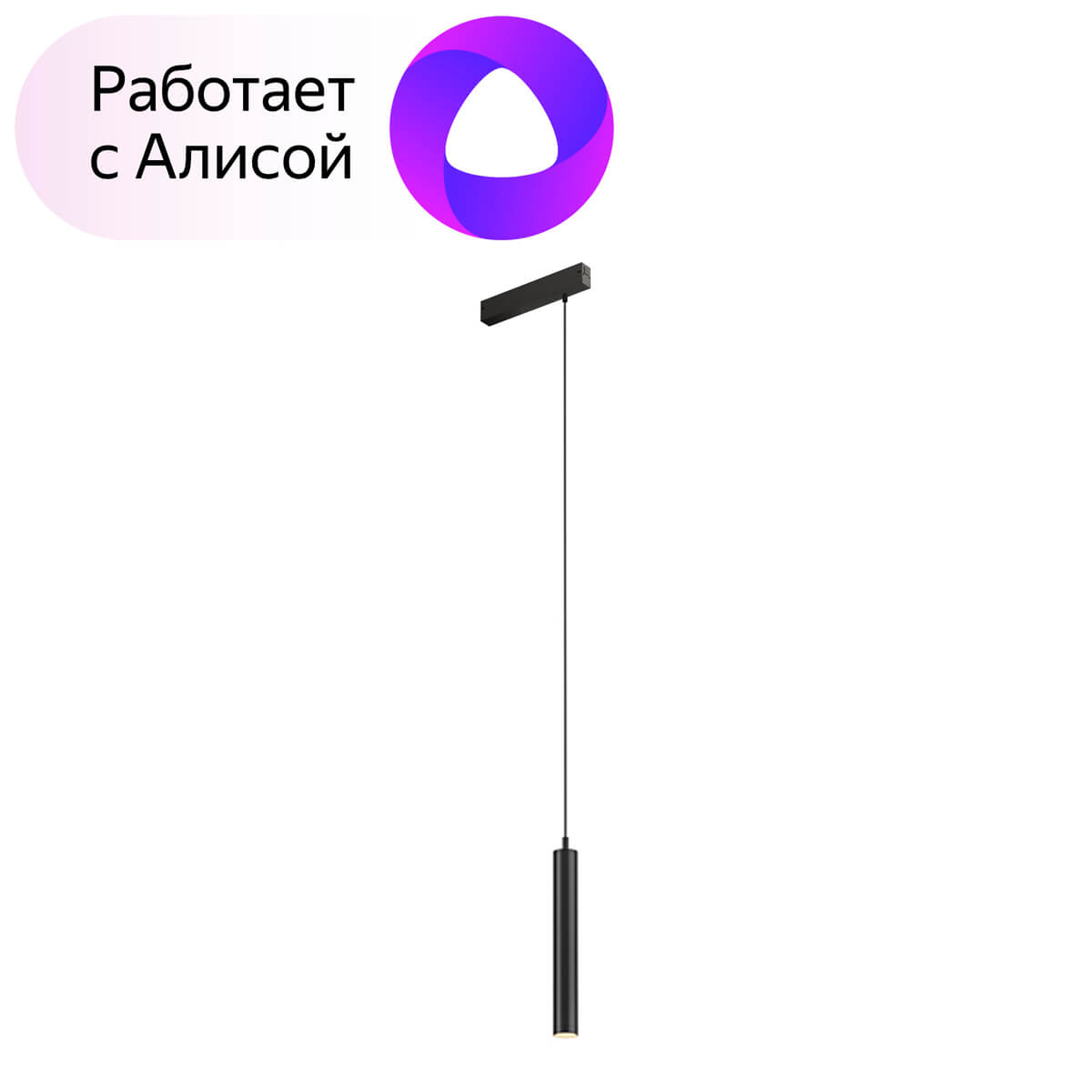 

Трековый светодиодный светильник Denkirs DK8008-BK, Черный, DK8008-BK Smart