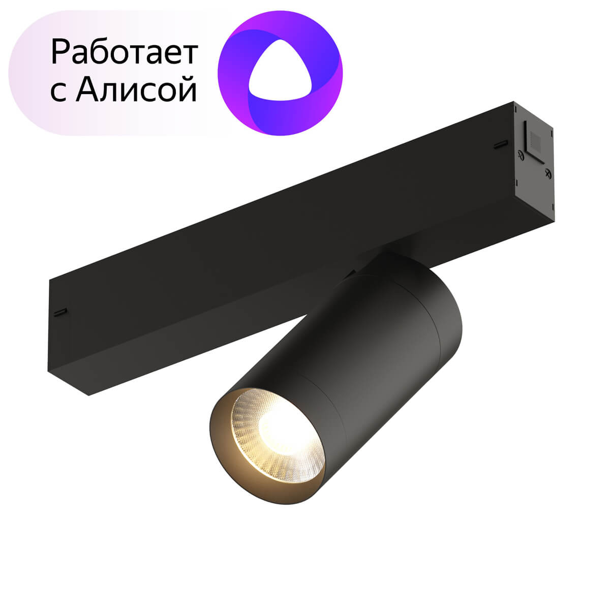 

Трековый светильник Denkirs Smart DK8010-BK, Черный, DK8010-BK Smart