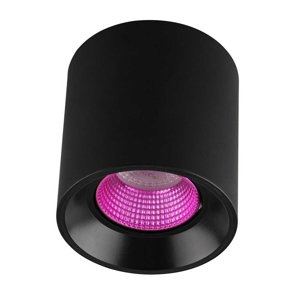 

Потолочный светильник Denkirs DK3020BPI DK3090-BK+PI, Черный, DK3090-BK+PI DK3020BPI