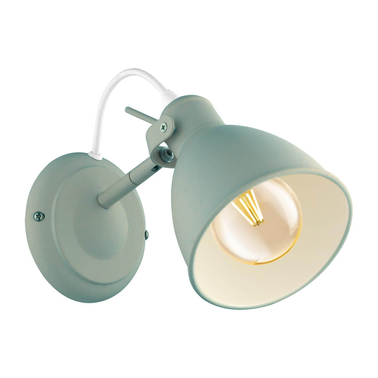 

Спот Eglo Priddy-P 49096