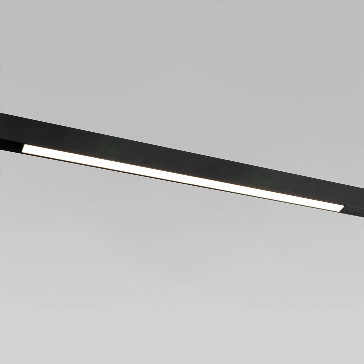 

Трековый светодиодный светильник Elektrostandard Slim Magnetic 85002/01 a057190, Черный, 4690389178856 Slim Magnetic