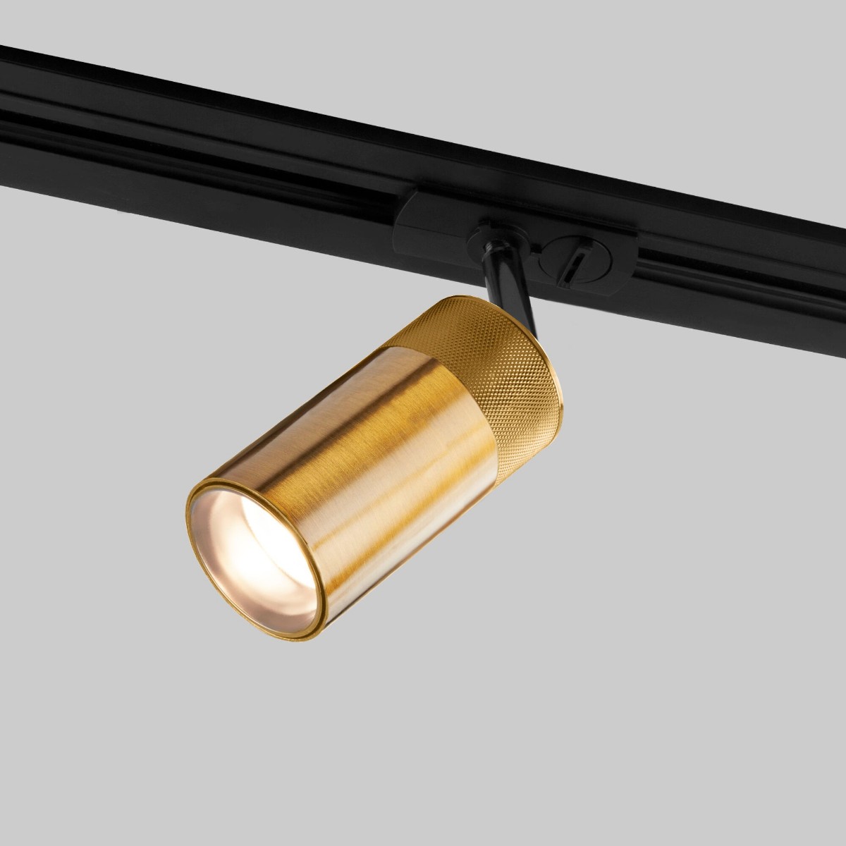 

Трековый светодиодный светильник Elektrostandard Riffe 9W 4200K 85512/01 a061661, Бронза, 4690389190469 Riffe ()