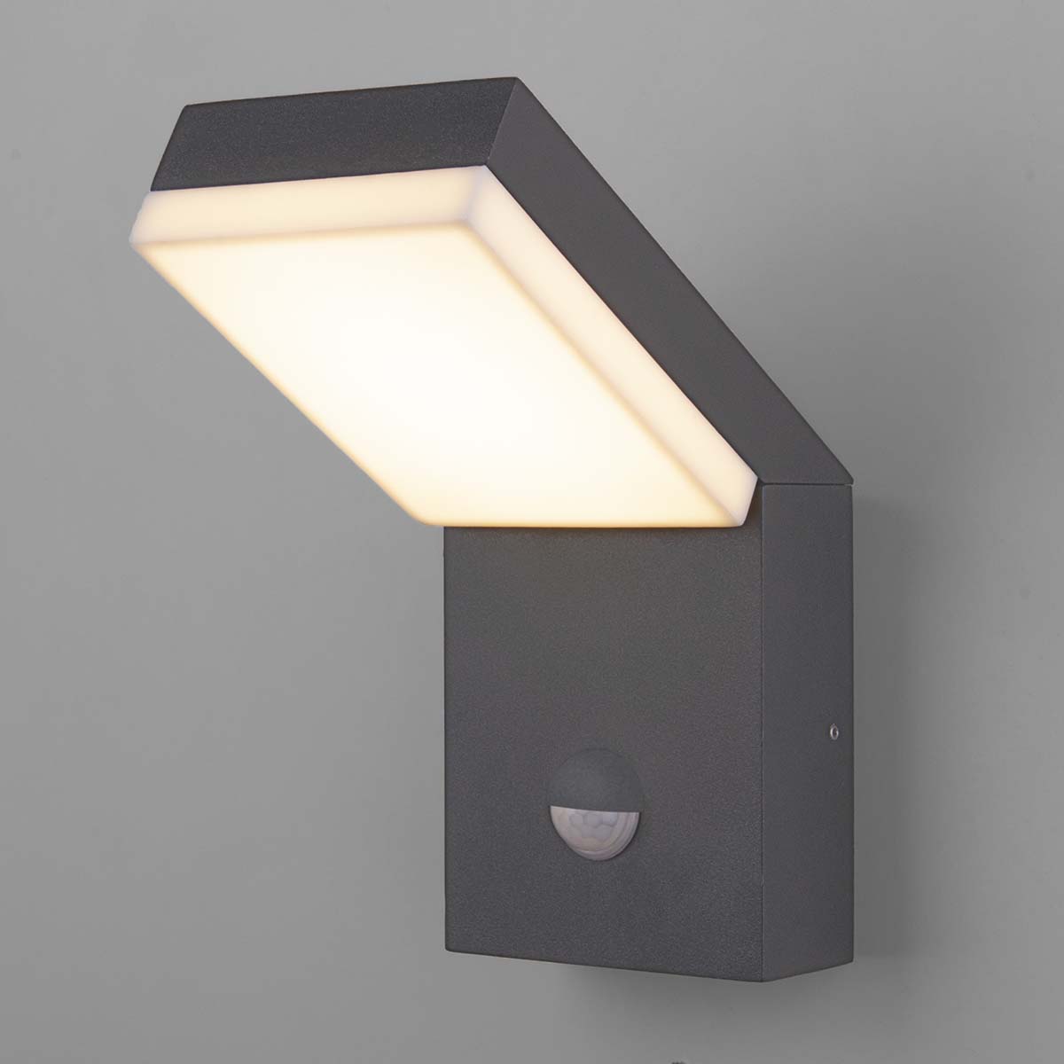 

Уличный настенный светодиодный светильник Elektrostandard Sensor 1541 Techno Led серый a053947, 4690389175008 Sensor