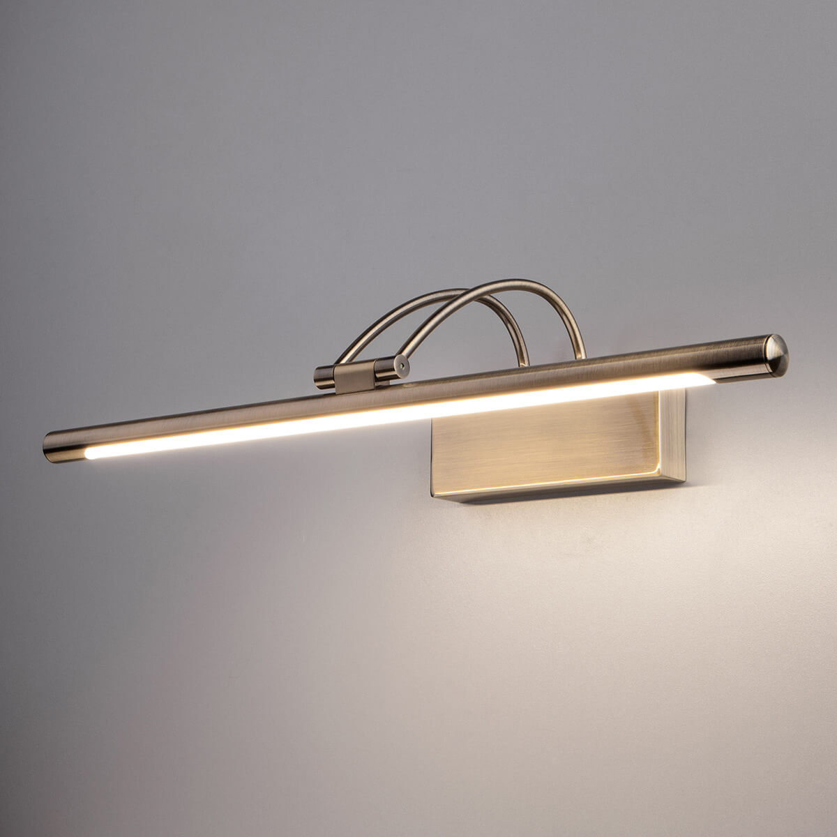  Подсветка для картин Elektrostandard Simple LED 10W 1011 IP20 бронза a038393