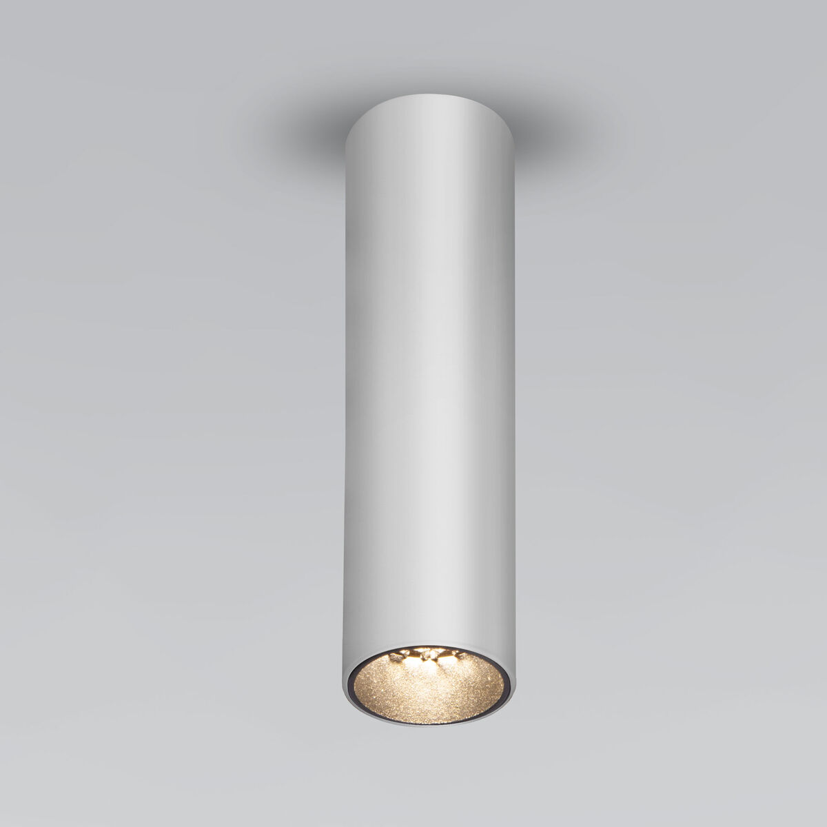 

Накладной светодиодный светильник Elektrostandard Pika 25031/LED серебро a061535, 4690389190322 Pika