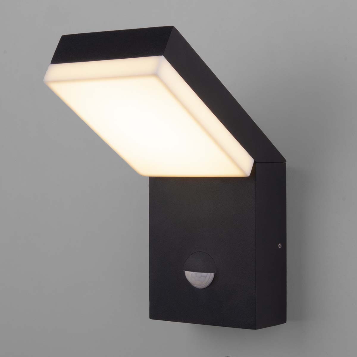 

Уличный настенный светодиодный светильник Elektrostandard Sensor 1541 Techno Led черный a053946, 4690389175015 Sensor