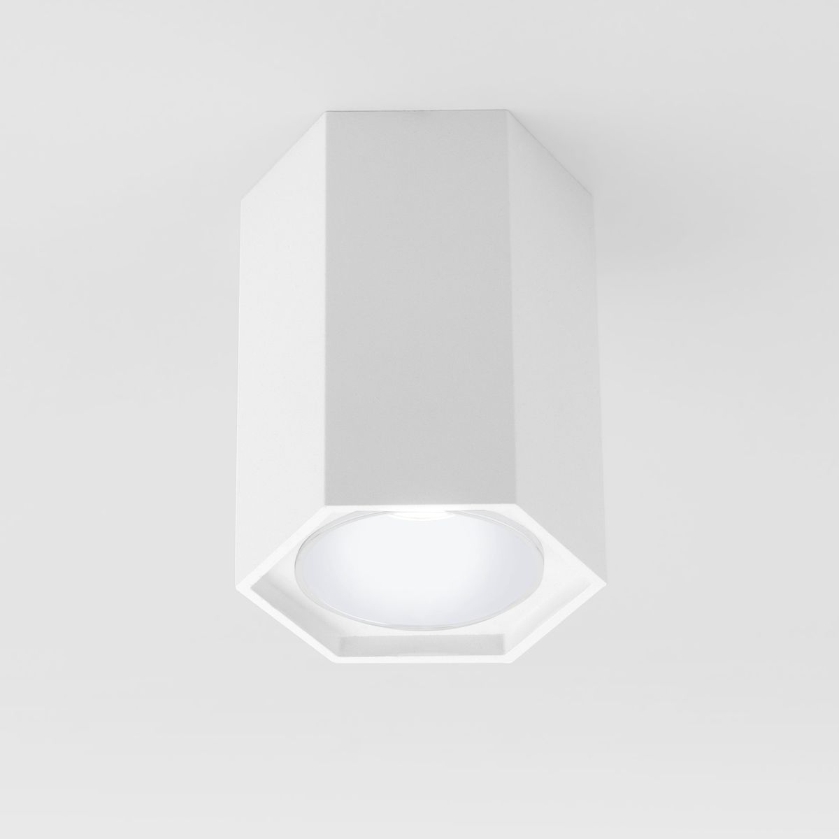 

Накладной светильник Elektrostandard 25037/LED белый a055858, 4690389176500
