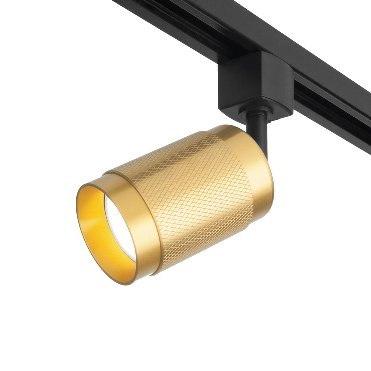 

Трековый светильник Elektrostandard Tony MRL 1012 GU10 золото a048161, Золотой, 4690389149627 Tony ()