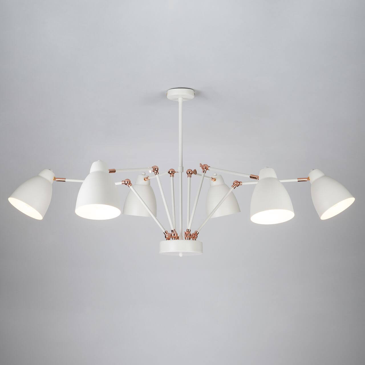 

Потолочная люстра Eurosvet Loft 70084/6 белый