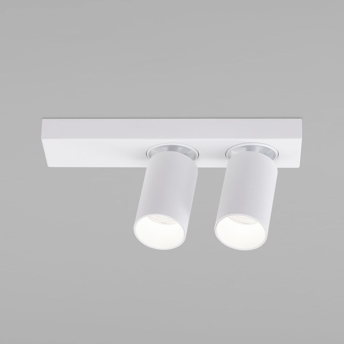 

Светодиодный спот Eurosvet Flank 20139/2 Led белый, 20139/2 Led белый Flank