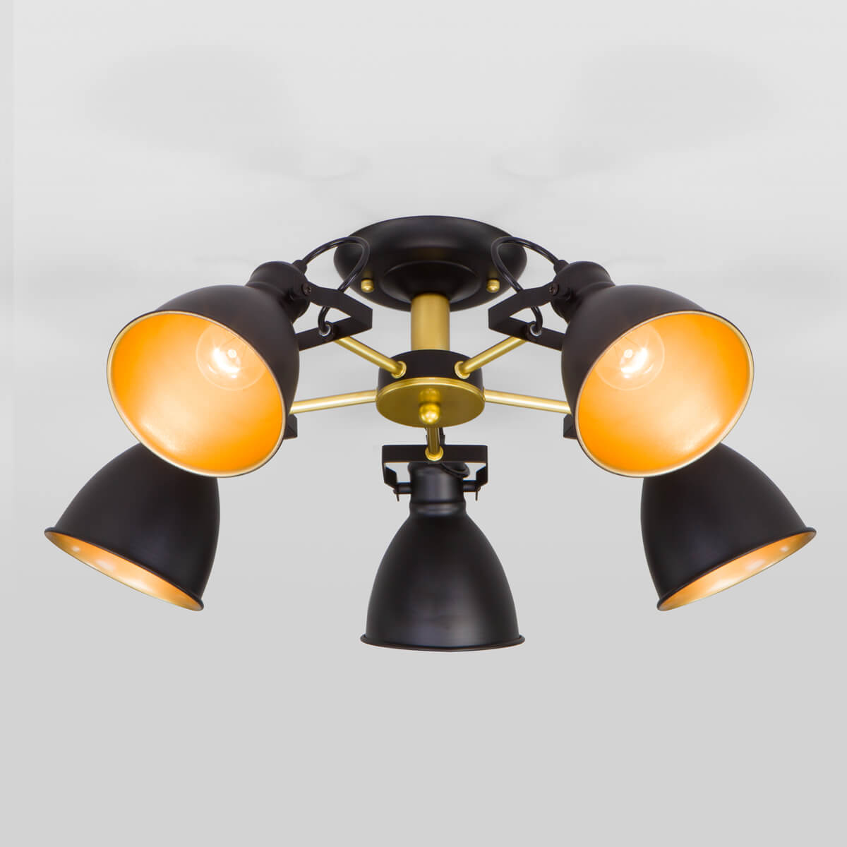 

Потолочная люстра Eurosvet Denley 70112/5 черный, 70112/5 черный Denley
