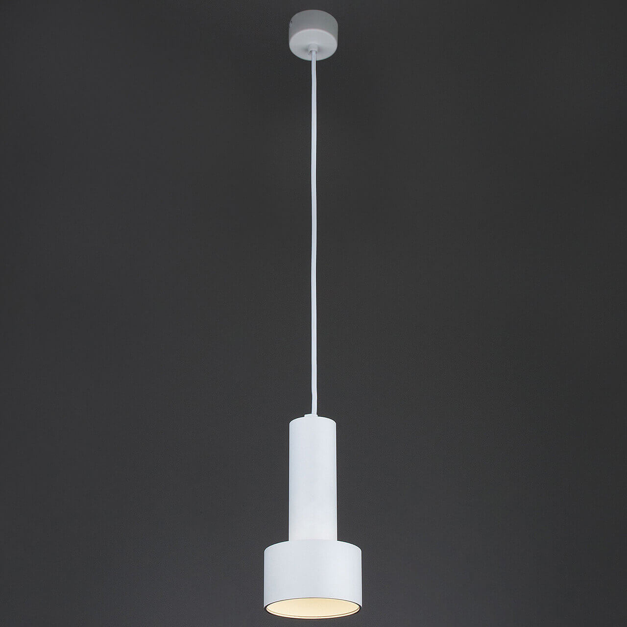 

Подвесной светильник Eurosvet 50134/1 LED белый, 50134/1 LED белый Charlie