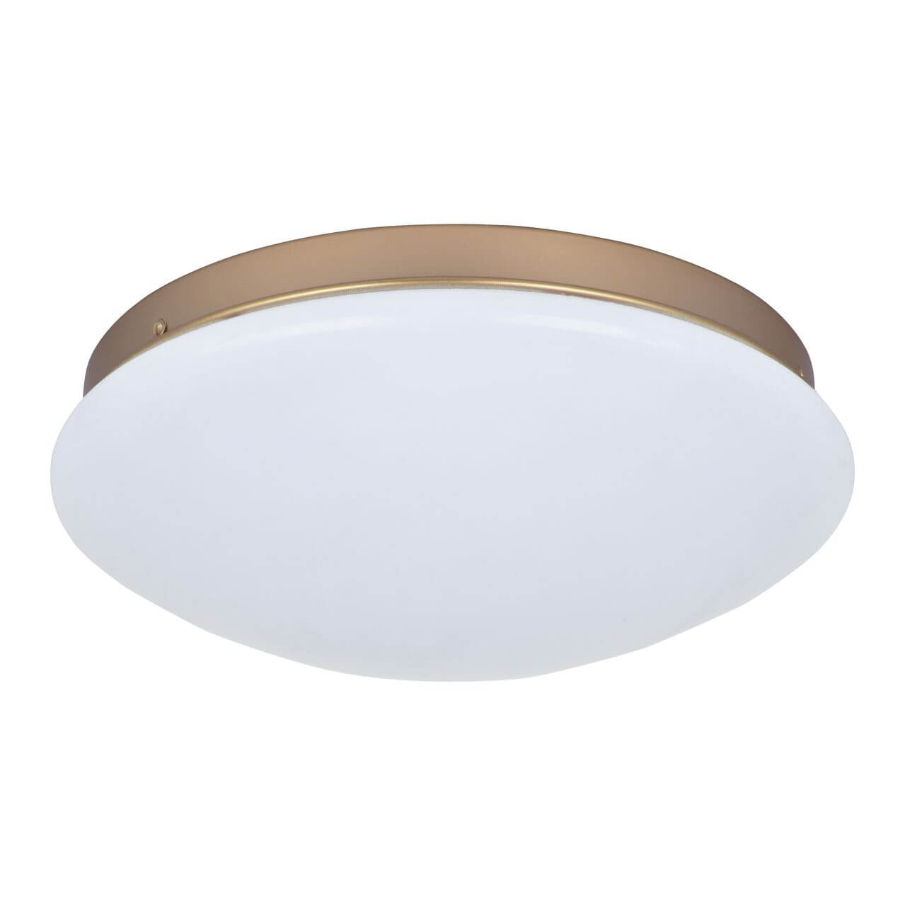 

Потолочный светодиодный светильник F-Promo Ledante 2466-2C