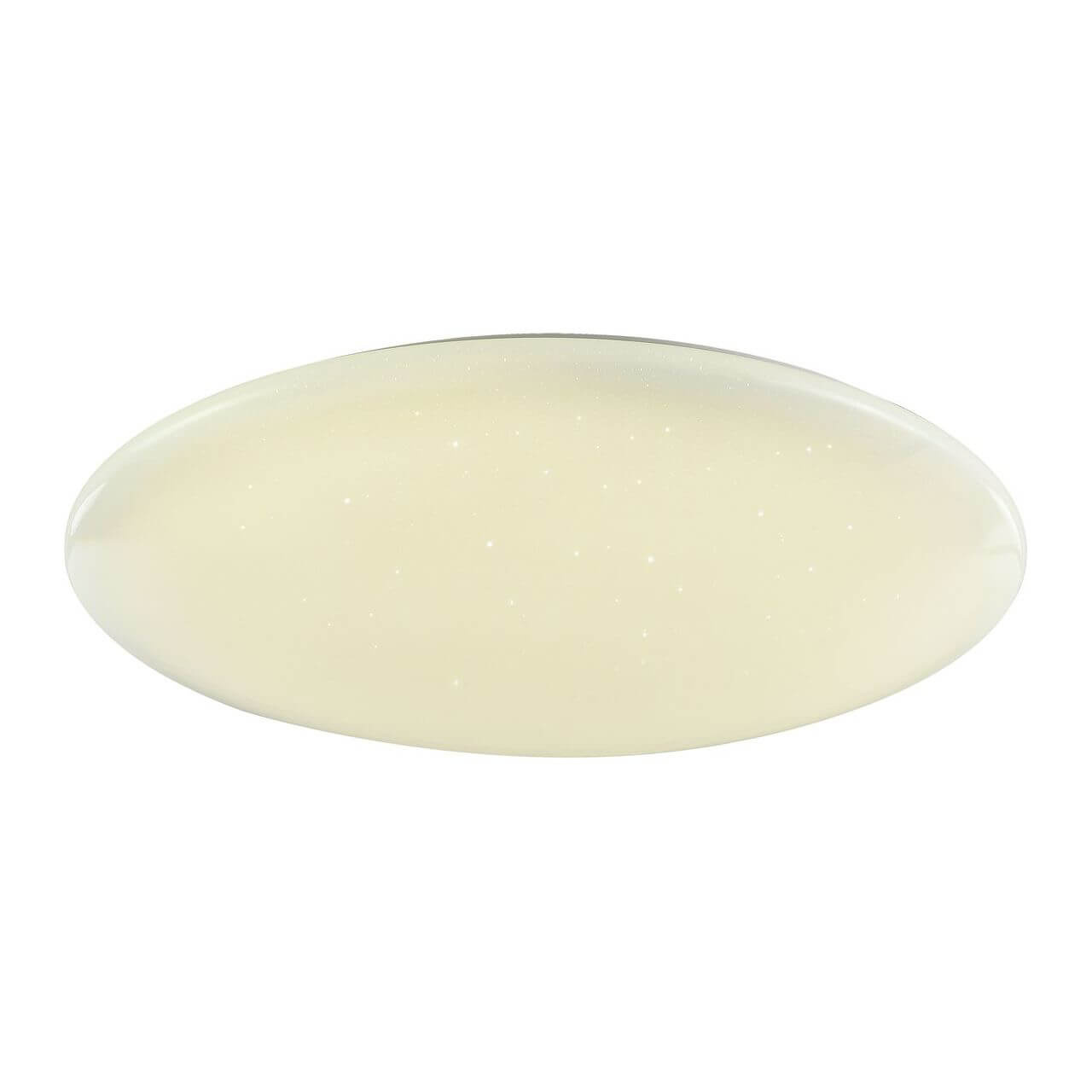 

Потолочный светодиодный светильник F-Promo Luna 2319-10C